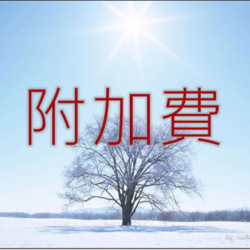 附加費/訂單處理費用