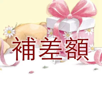 補差額